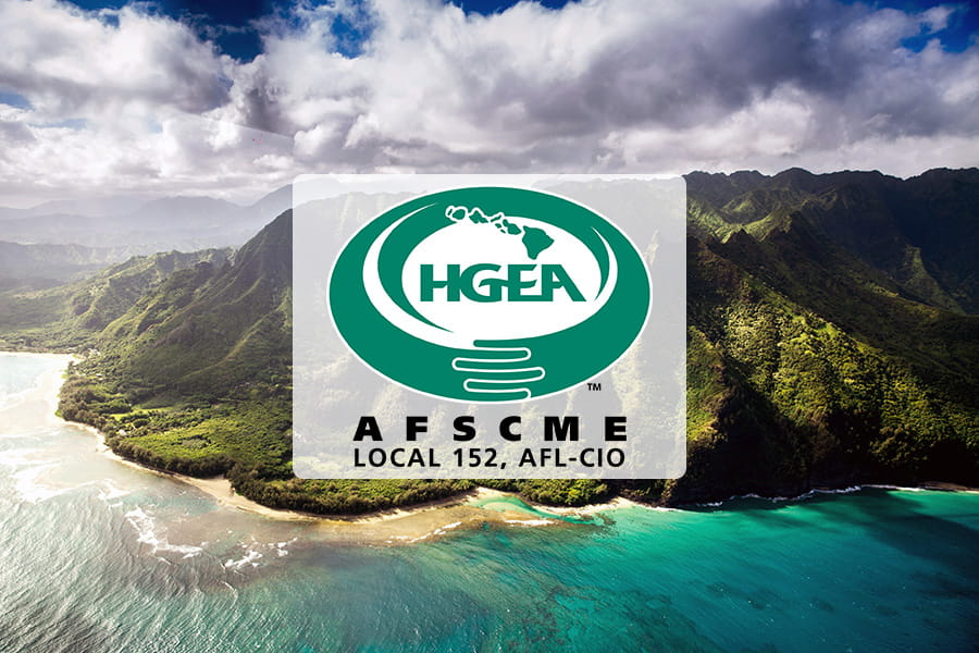 Info-Grove HGEA blog hero