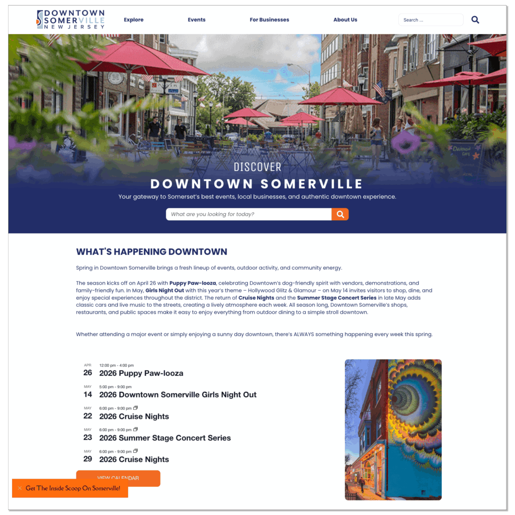 Downtown Somerville Alliance Website